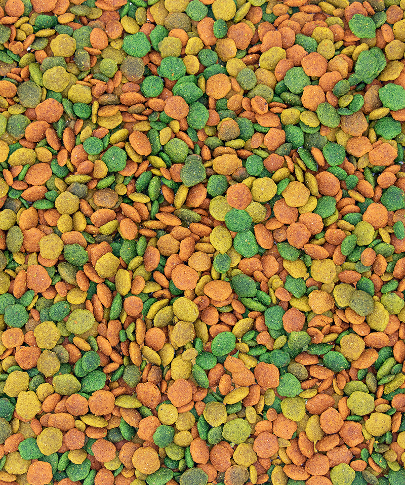 Pellet Versele-Laga Nutribird G14 Tropical 1 kg per parrocchetti di grandi dimensioni Pellet Versele-Laga Nutribird G14 Tropical 1 kg per parrocchetti di grandi dimensioni